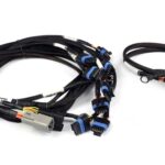 Haltech Nexus V8 IGN-1A Ford Harness