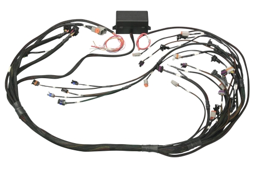 3F884A87-170B-3DCD-9EA2-36CB805FD2A2 Haltech 6 Channel Flying Lead Ignition Harness - Image 1