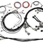 Haltech Uni V8 Term Engine Harness for Nexus R5 VCU