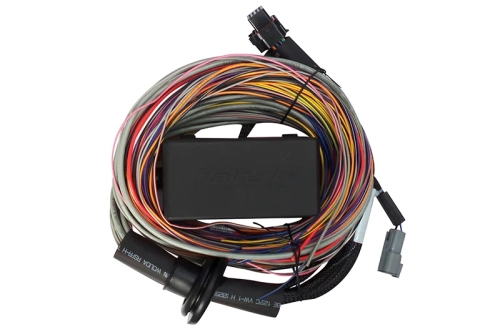 5C88344A-F668-8B6D-C21B-2D5FE8630BB0 Haltech Elite 550 Premium Universal Wire-in Harness 2.5m (8' - Image 1
