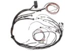 Haltech Elite 1000/1500 Maz 13B S4/5 Term Harn Only IGN-1A i