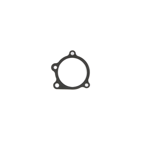 A35BDA99-98F8-5217-23F6-1409A398447E Cometic WATER PUMP GASKET .060" AFM - Image 1