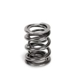 Supertech Valve Spring Set Ford/Opel/Mits/Ren/Nis