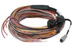 Haltech PD16 PDM + Flying Lead Harness (5M) - Image 5