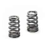 Supertech Valve Spring Set Toy 1GR-FE