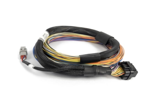 13FD7193-4DE8-AE46-86BC-CCEC6C74364B Haltech Nexus T1/T2 Basic Universal Wiring Harness 2.5M (8') - Image 1