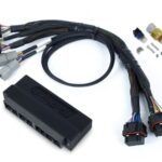 Haltech Nexus S2/S3 PnP Adapt Harn Subaru WRX MY99-00