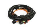 Haltech Nexus Rebel JZ Toy 1JZ/2JZ Main Terminated Harness - Image 2