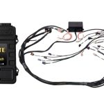Haltech Elite 2500 GM GEN IV LS2 DBW Ready Term Harn Kit EV1