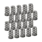 Supertech Behive Valve Spring Set Audi 2.5L 20v EA855