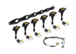 Haltech R35 Coil Bracket Kit Nis RB20/25/26 + Coil/Conn/Harn